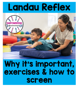 Child practicing a Landau reflex activity in occupational therapy to support postural control, core stability, and coordination.