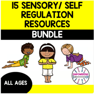 Sensory self regulation OT bundle